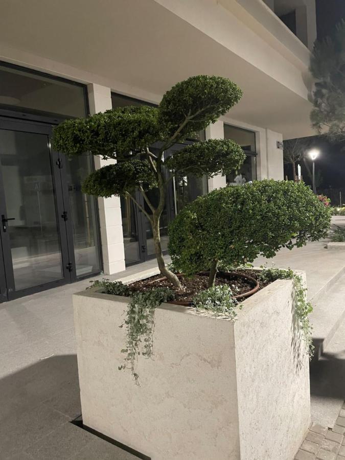 Sunny Studio Azur Szent Konstantin és Elena Kültér fotó